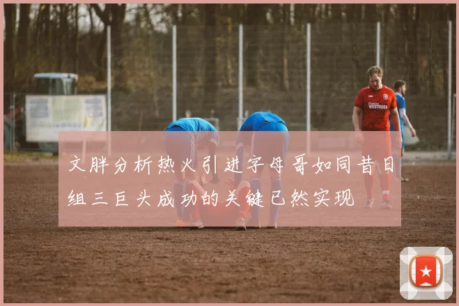 文胖分析热火引进字母哥如同昔日组三巨头成功的关键已然实现