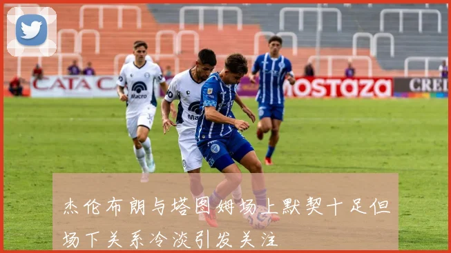 杰伦布朗与塔图姆场上默契十足但场下关系冷淡引发关注
